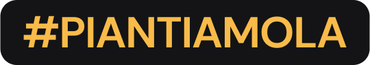 Piantiammola